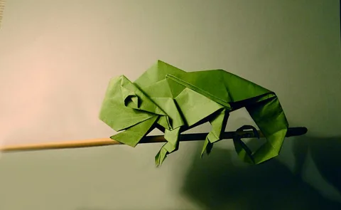 Chameleon