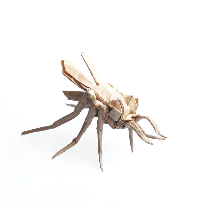 Mosquito