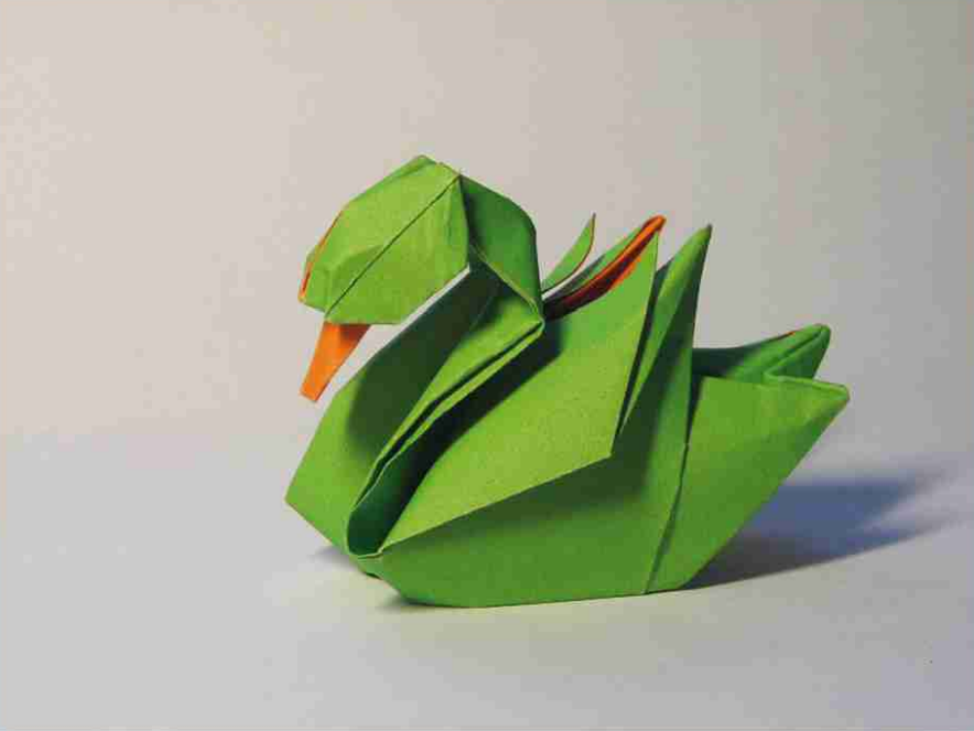 Duck