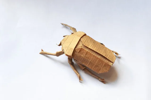 Scarab Beetle