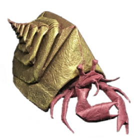Hermit crab