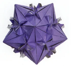 Star (orchid) unit 1.2.3.4