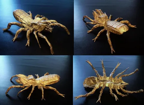 Camel spider