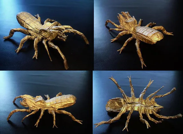 Camel spider