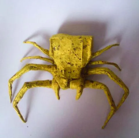 Crab spider