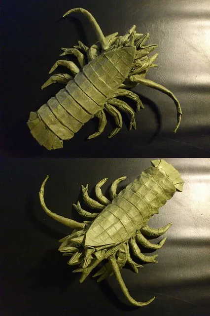 Crayfish