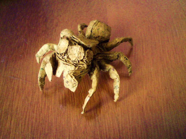 Jumping spider