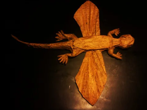 Kuehneosaurus 1.0