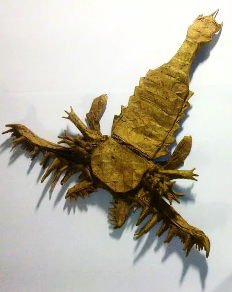Megalograptus