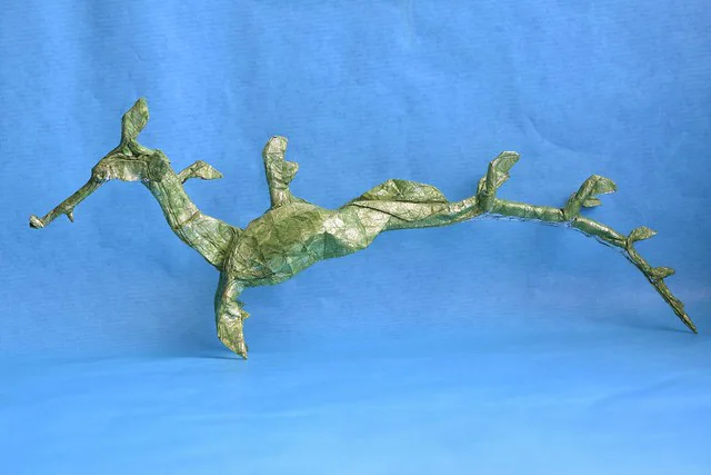 Weedy Sea Dragon 2.3