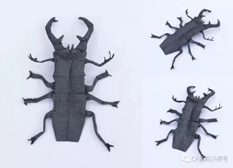 Stag beetle 4.0 (PD)