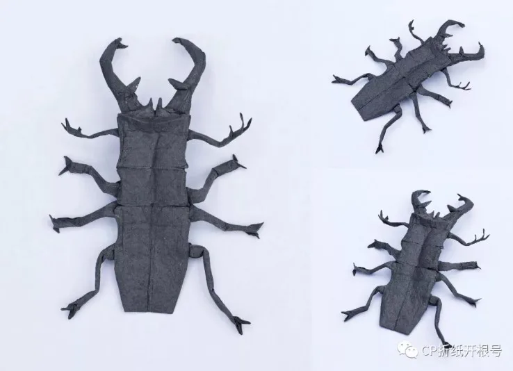 Stag beetle 4.0 (PD)