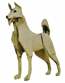 Jindo dog