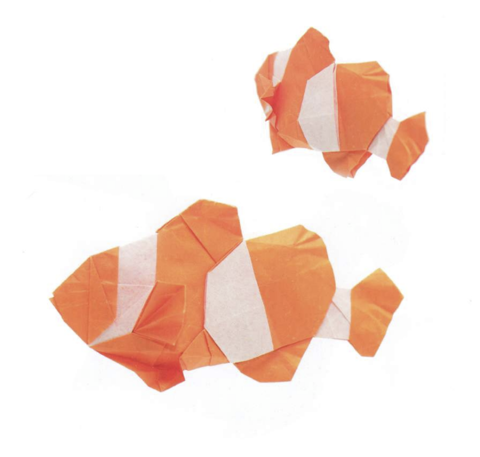 Clownfish