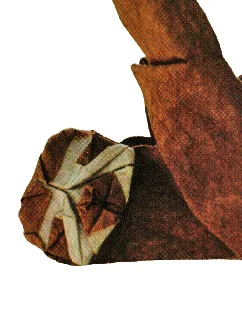 Sloth head