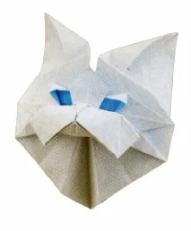 Persian cat head
