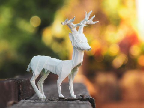 Mule Deer