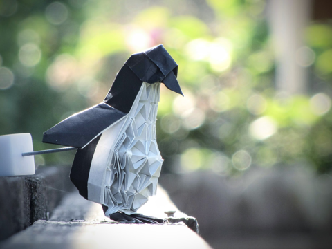 Penguin