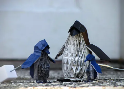 Penguin