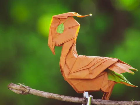 bird