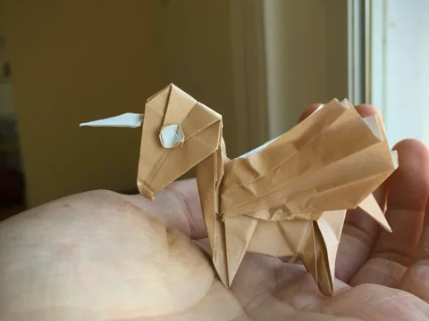 bird