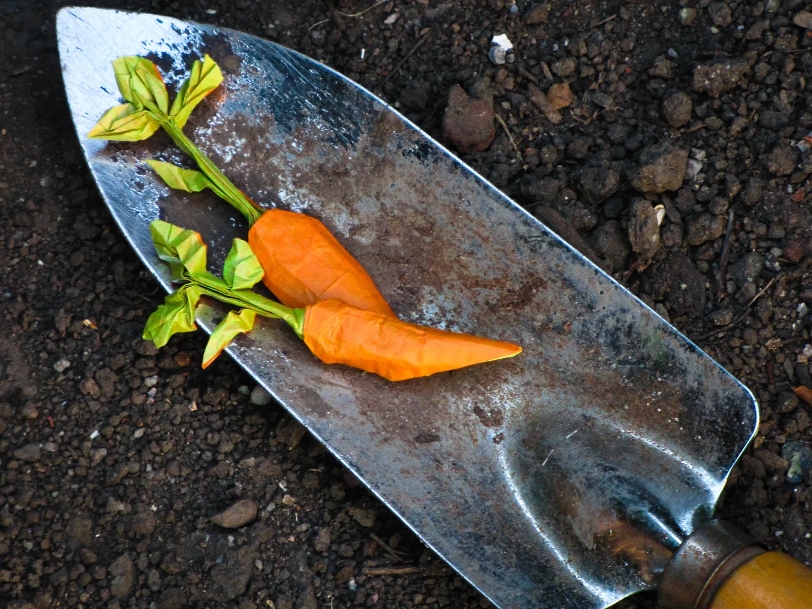 carrot and potato