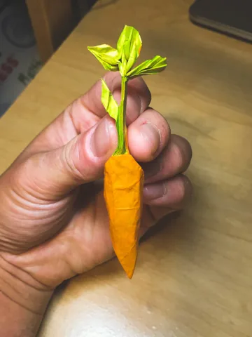 carrot and potato