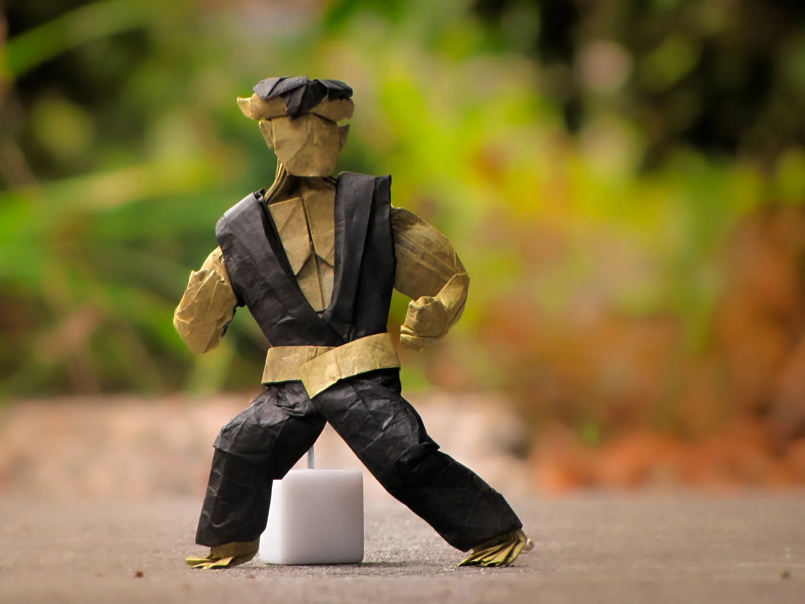 martial artist