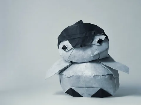 penguin chick