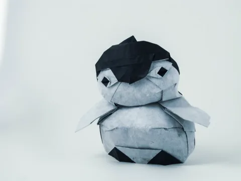 penguin chick