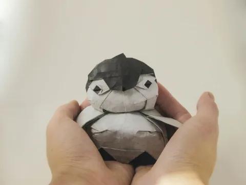 penguin chick