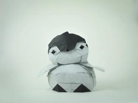 penguin chick