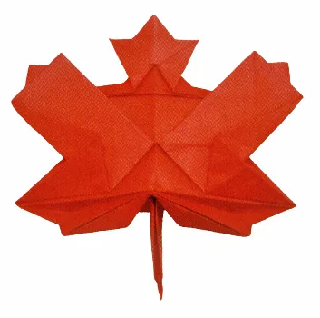 Maple leaf