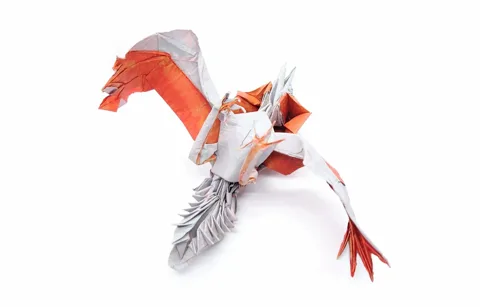 Aknosom (Monster Hunter)