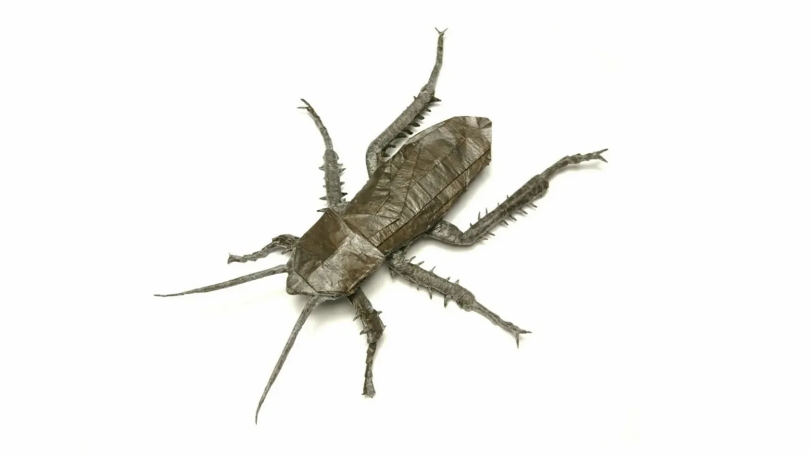 Anatomically Precise Cockroach