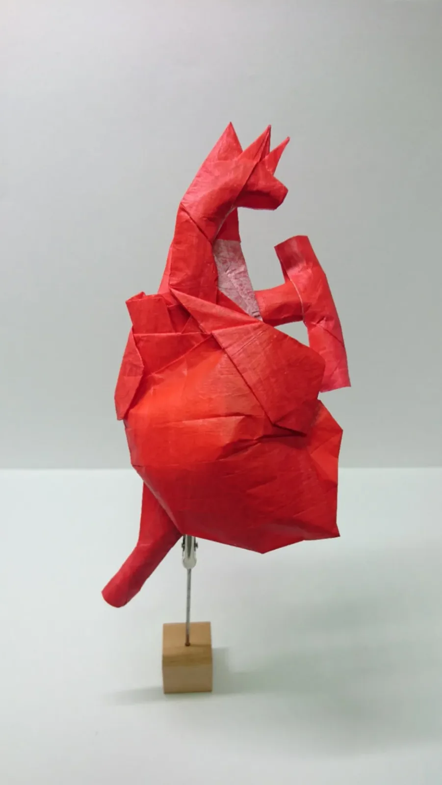 Human Heart (PD)