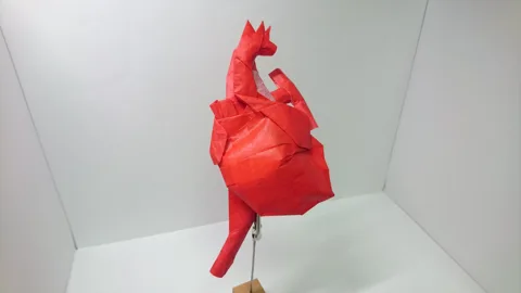 Human Heart (PD)