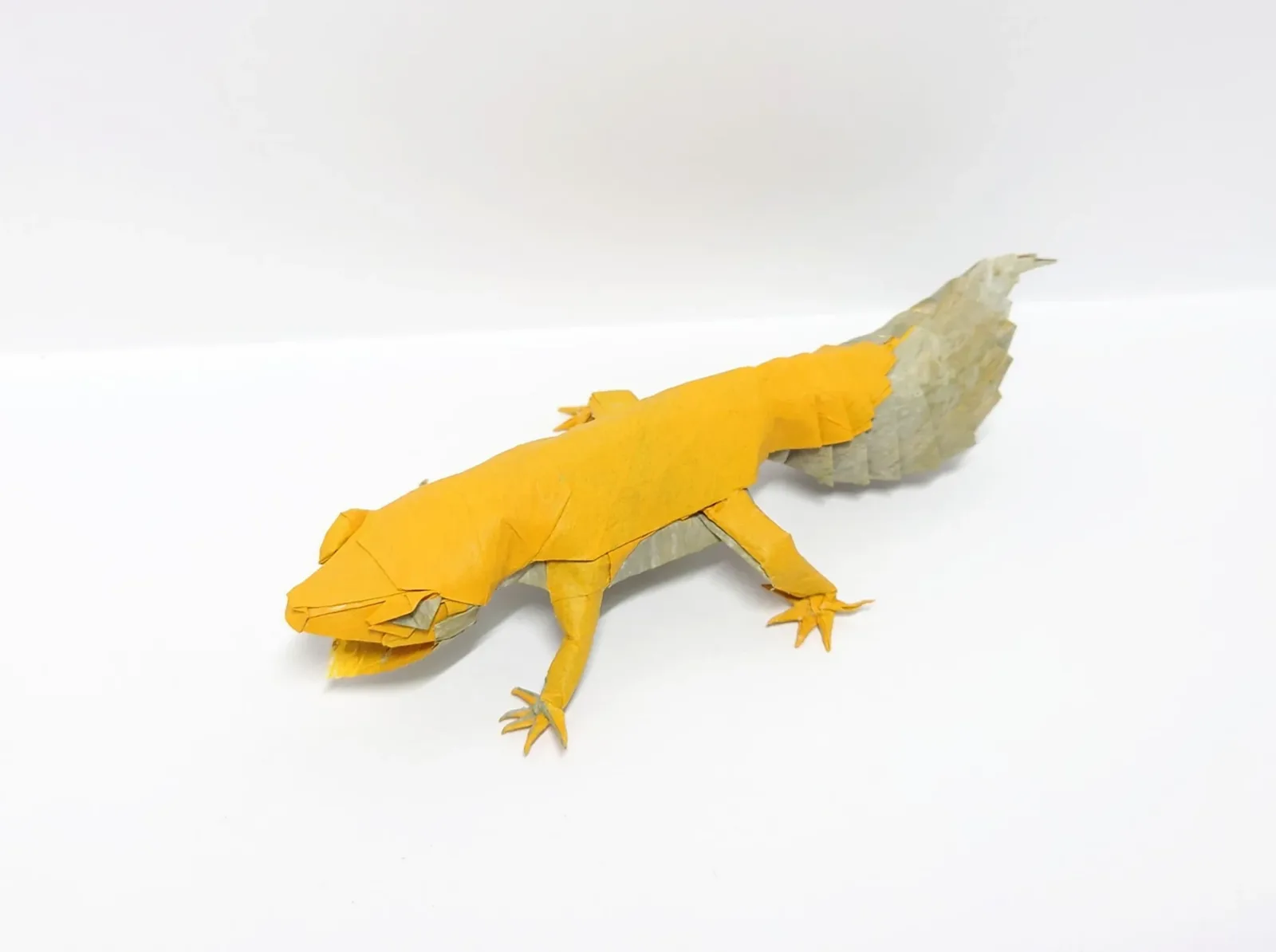 Leopard Gecko