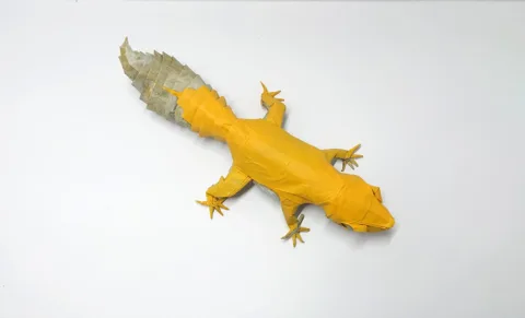 Leopard Gecko