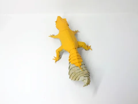 Leopard Gecko