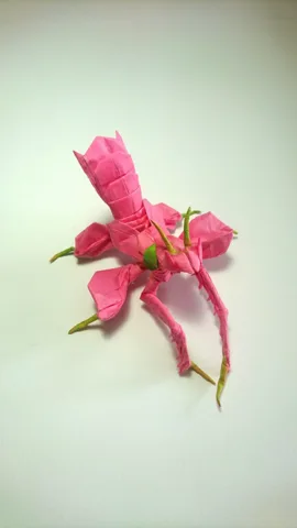 Orchid Mantis