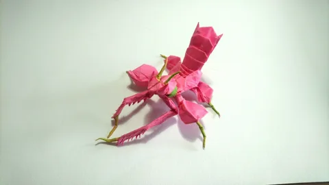 Orchid Mantis