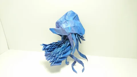 Portuguese Man o' War