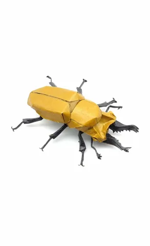 Scutellaria Stag Beetle