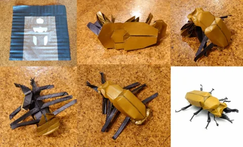 Scutellaria Stag Beetle