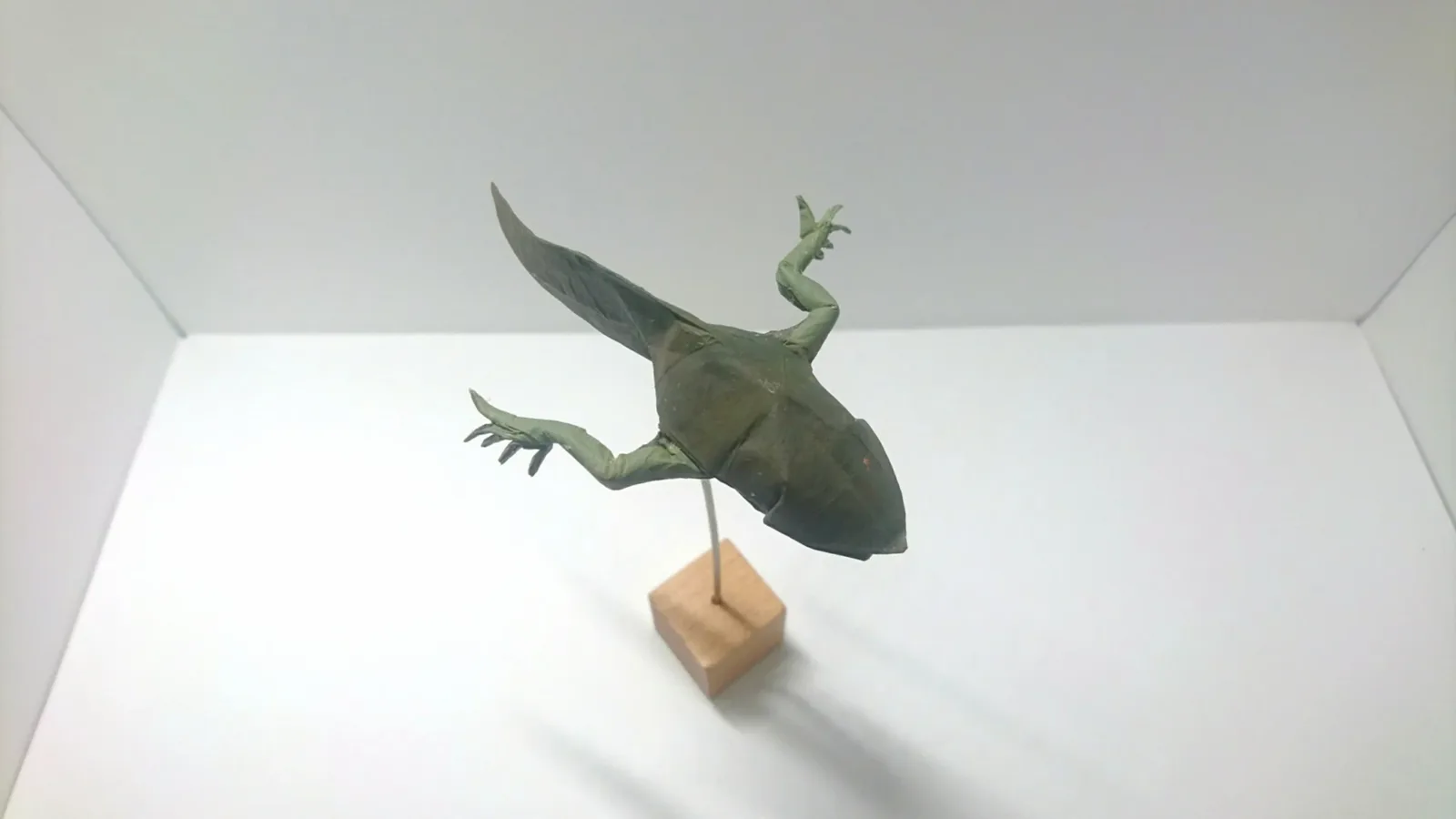 Tadpole v1