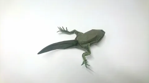 Tadpole v1