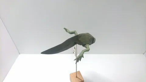 Tadpole v1