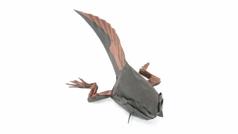 Tadpole v2