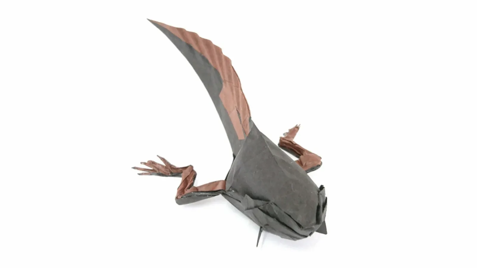 Tadpole v2